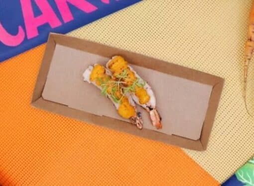 Plato Descartable Rectangular Kraft (x100) - Imagen 2